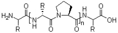 N2.jpg